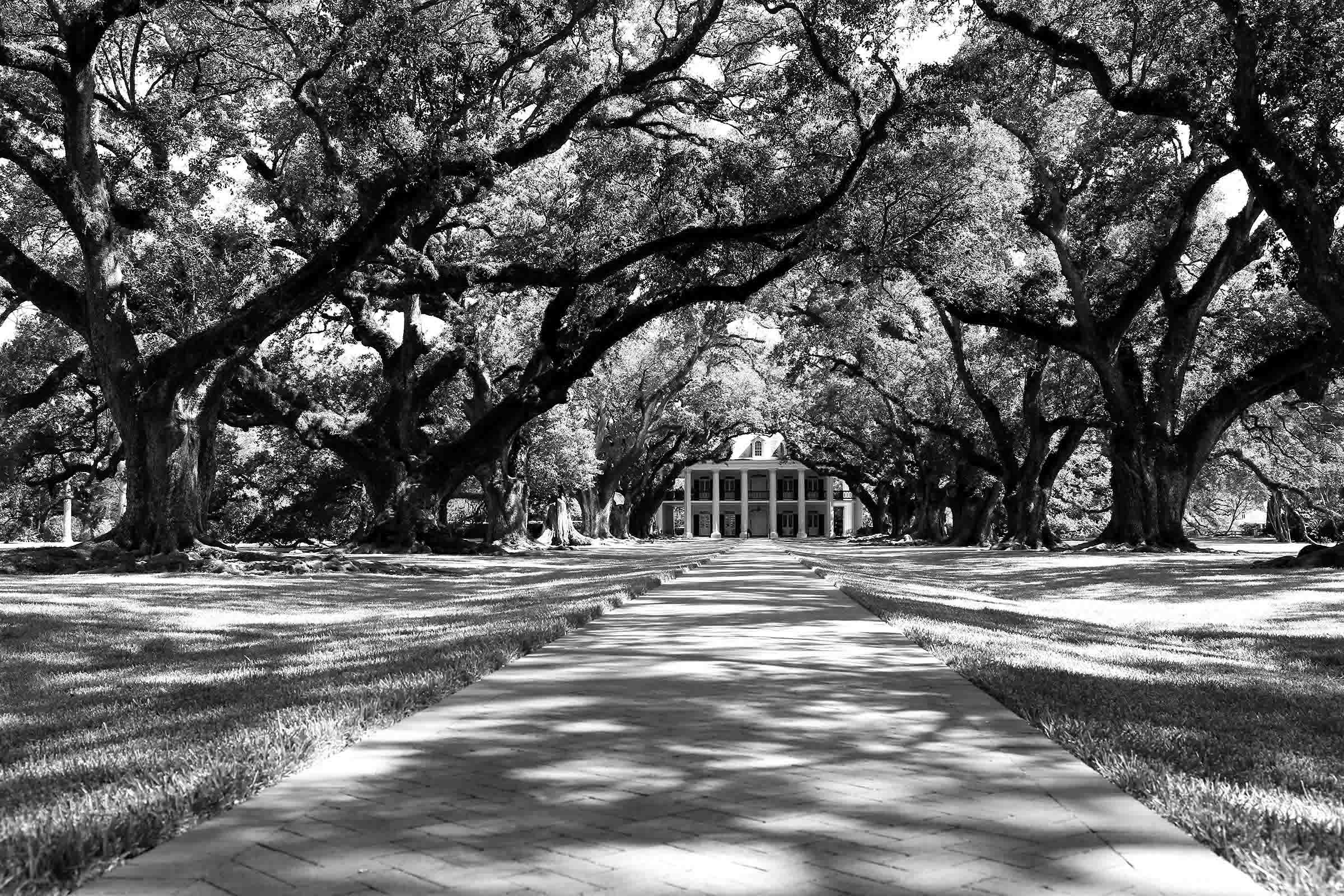 New Orleans, Louisiana, 2015
